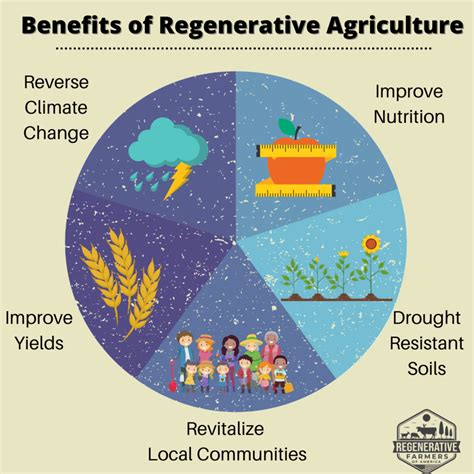 Regenerative Agriculture | What is it and how can it save the planet ...