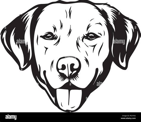 Labrador Retriever Dog Breed Pet Puppy Isolated Head Face Stock Vector Image & Art - Alamy