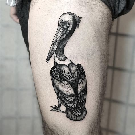 Pelican Tattoo Ideas