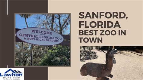 Sanford Florida - Best Zoo in Town - YouTube