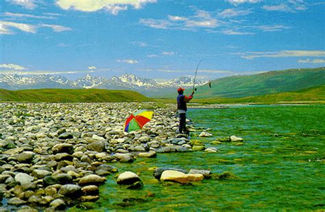 PakistanPaedia - Deosai Plains