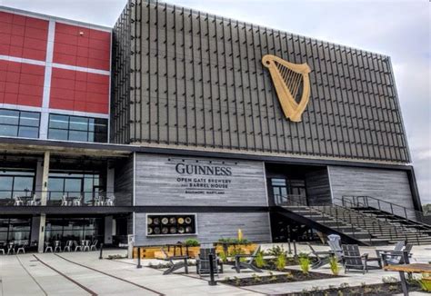 Shop Guinness Beer, Irish Beer | Total Wine & More