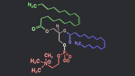 3D lecithin structural model - TurboSquid 1238357