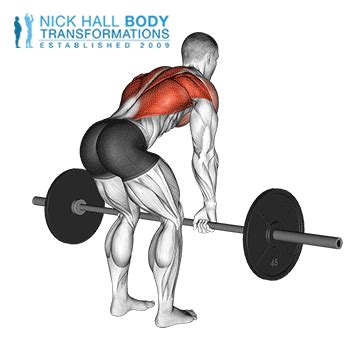 Back Exercises – Personal Trainer in Port Melbourne – Nick Hall Body ...