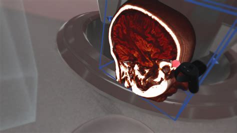 The Body VR: Anatomy Viewer on Steam