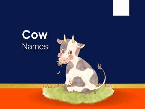 1220+ Cow Names For Your Bovine Buddies! (+Generator)