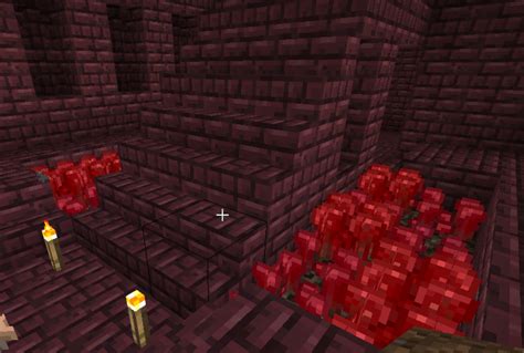 How to Build a Nether Wart Farm in "Minecraft" - LevelSkip