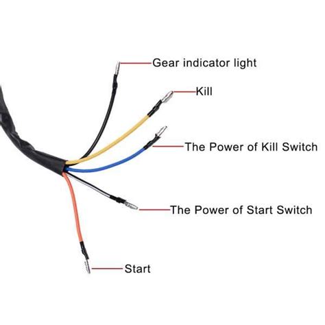 Kill Switch Wiring Diagram - ZADIE WEB