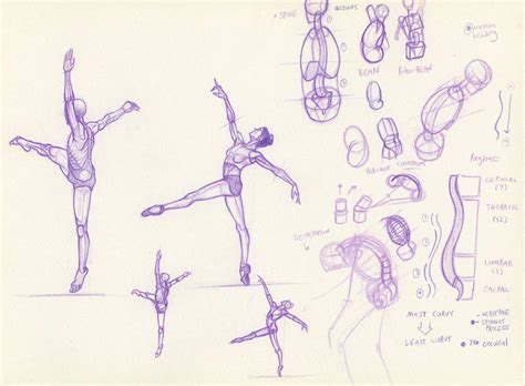 Ballet poses Drawing Reference and Sketches for Artists