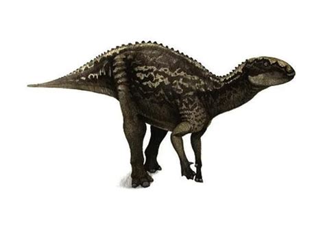 Fukuisaurus | Description, Size, Fossil, Diet, & Facts