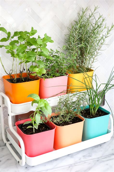 DIY Colorful Indoor Herb Garden | DIYIdeaCenter.com