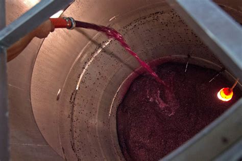 How Wine is Made: From Grapes to Glass | Wine Folly