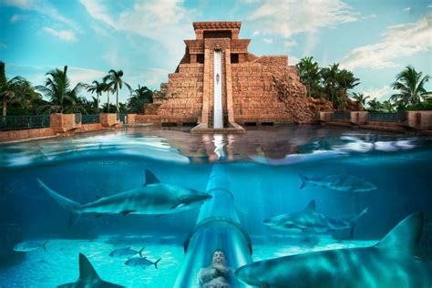 AQUAVENTURE & LOST CHAMBERS, ALTANTIS THE PALM 289 AED