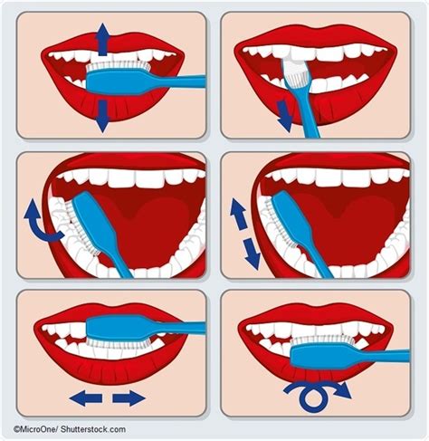 Guide to Brushing Your Teeth