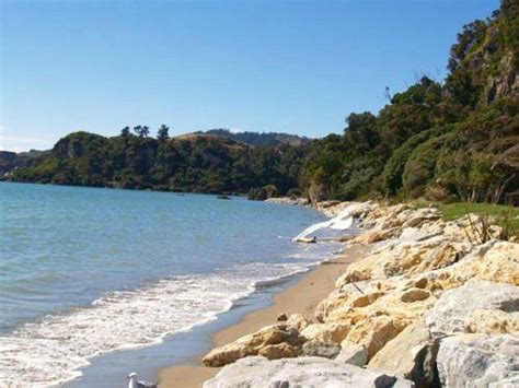 POHARA BEACH TOP 10 HOLIDAY PARK - Updated 2021 Prices & Resort Reviews (New Zealand - Golden ...