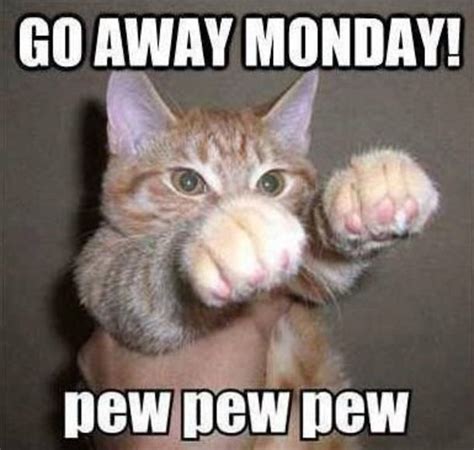 Happy Monday Meme Cat