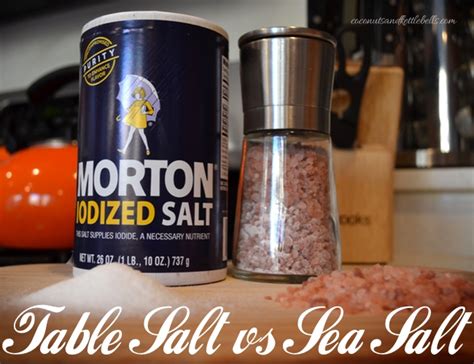 Difference Between Sea Salt And Iodized Table | Cabinets Matttroy