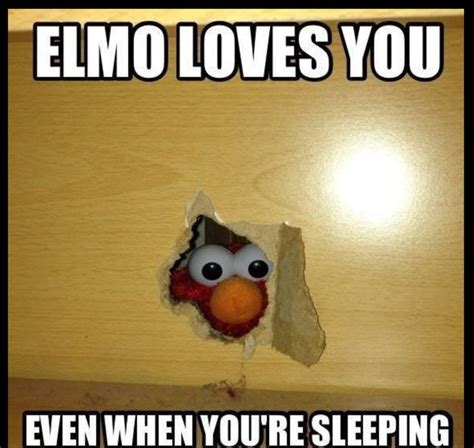 Pin by hii on MEMES | Elmo memes, Sesame street memes, Elmo