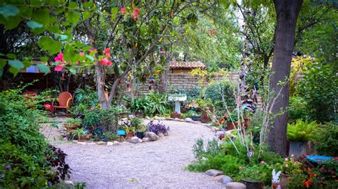 Tucson Botanical Gardens named fourth best in USA Today Readers' Choice ...