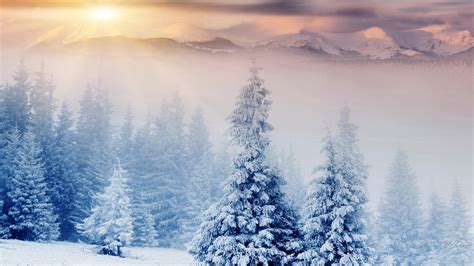 Winter Wonderland Desktop Background (54+ images)