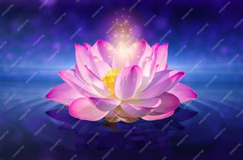 Premium Photo | Lotus flower floating