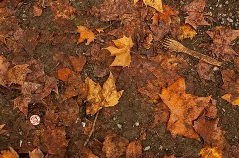 Types of Soil Pollutants | Planning Tank