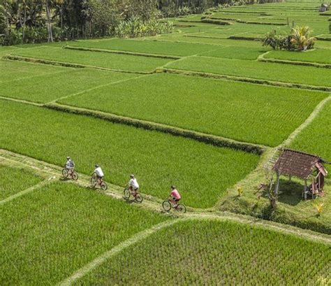 Treetop chic in Bali's newest boutique hotel - Lonely Planet