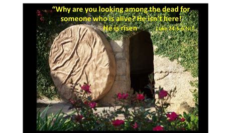 Sunday Verse: Luke 24:5-6 | Empty tomb, Jesus tomb, Easter christian