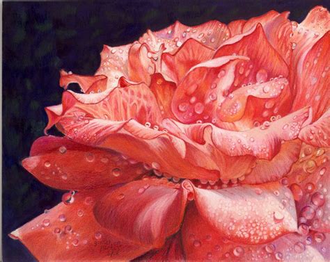 Red Rose, Gretchen Evans Parker Colored Pencil Artwork, Pencil Painting, Coloured Pencils ...