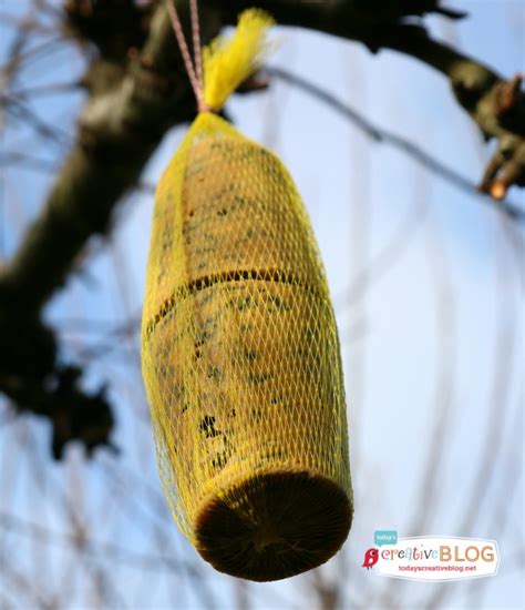 Homemade Bird Suet Recipe - Today's Creative Life