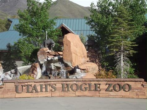 Utah's Hogle Zoo | Salt lake city utah, Zoo, Utah