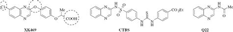 Quinoxaline anticancer agents. | Download Scientific Diagram