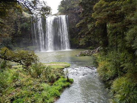 THE 15 BEST Things to Do in Whangarei (2024) - Must-See Attractions