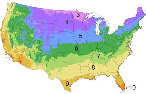 Growing Zone Information - Burpee.com We are zone 4 | Plant hardiness ...