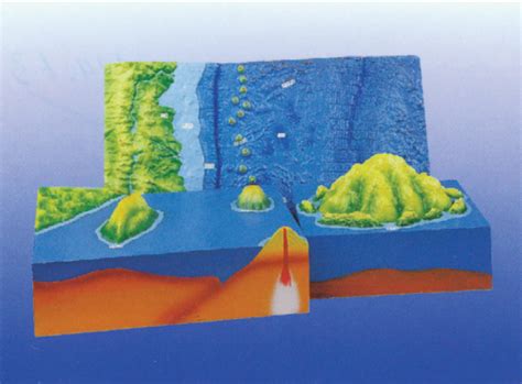 Model of Island Formation | King Mariot Medical Equipment