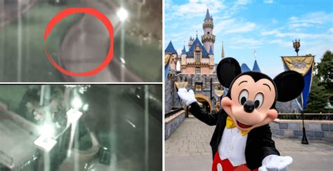 Disneyland Security Footage Once Caught "Walt Disney's Ghost" Roaming the Park - Inside the Magic