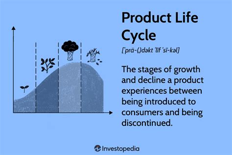 Product Life Cycle Explained: Stage and Examples