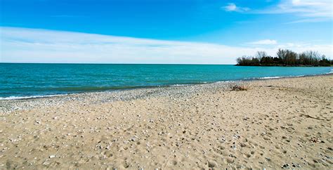 These six Toronto beaches are officially open | News