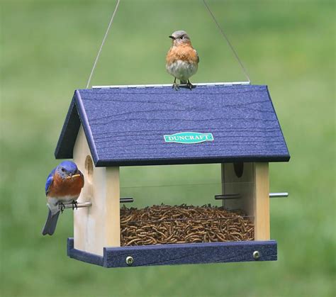 two birds perched on top of a blue bird feeder with grass in the back ground