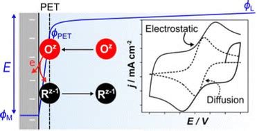 Simulation of the cyclic voltammetric response of an outer-sphere redox ...