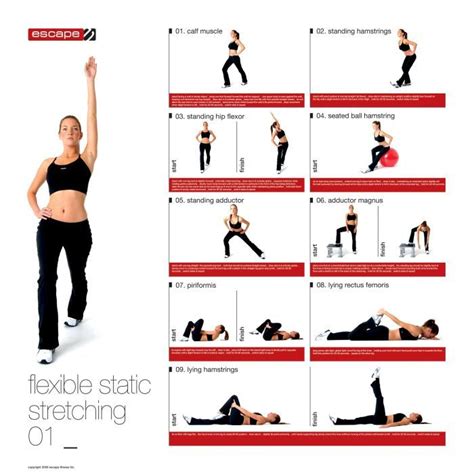 How to stretch: Dynamic v. Static | Static stretching, Calf muscles ...