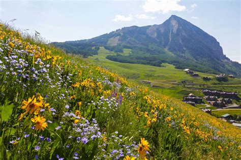 The Marvellous Crested Butte, Colorado - Newport Jets