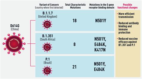 The changing face of the pandemic: New COVID-19 variants spark concern