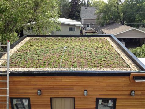 EcoFriendly Sask: Saskatoon's First Residential Green Roof