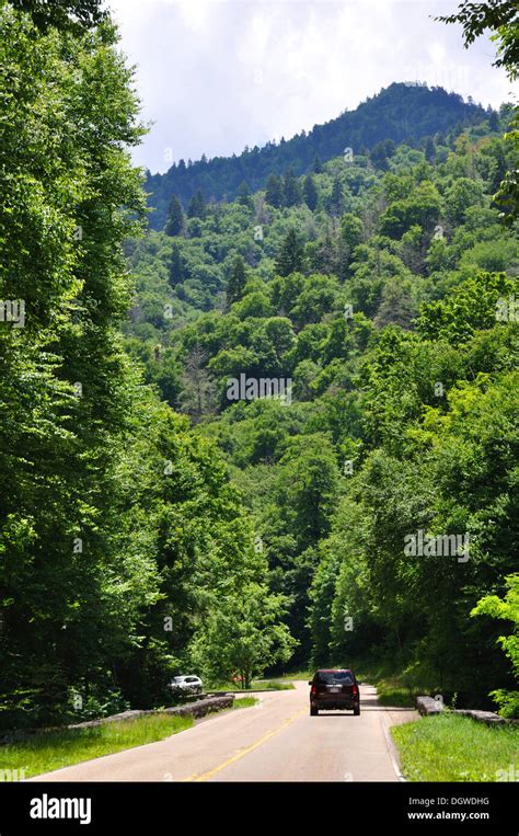 Great Smoky Mountains National Park, Tennessee, USA Stock Photo - Alamy