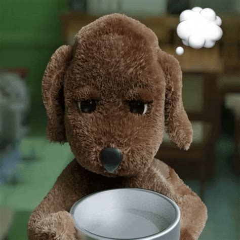 Puppy-eat GIFs - Find & Share on GIPHY