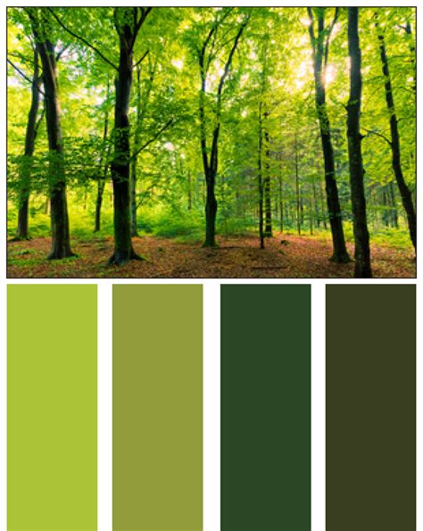 Home Design Ideas: Nature's Color Palette - Homes by Tradition | Earth colour palette, Nature ...