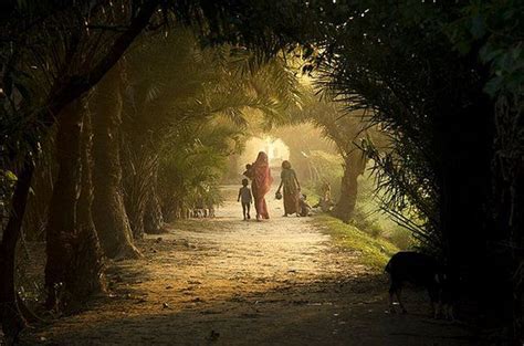 Village Life of Bangladesh- Natural Beauty of Bangladesh — Steemit ...