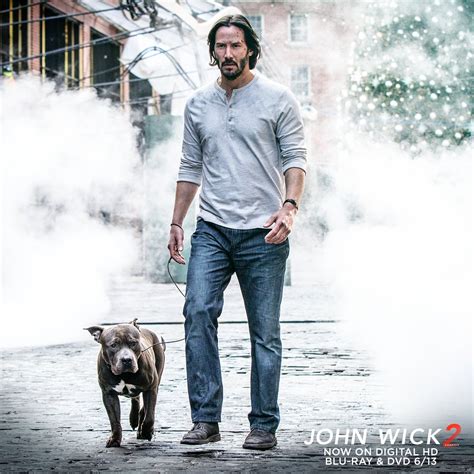 John wick 2 dog breed | John Wick: Chapter 2: Keanu Reeves Finally Reveals The Dog’s Name!. 2020 ...