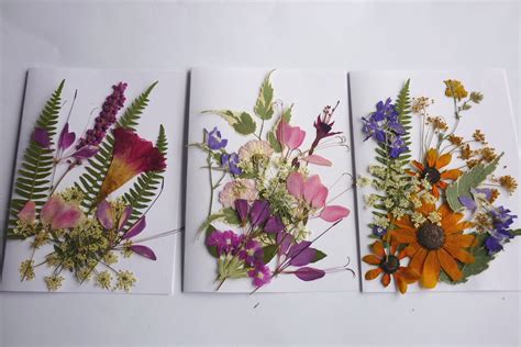 Pressed Flower Art Dried Pressed Flowers Mixed Pack for - Etsy | Gepresste blumen, Blumen kunst ...